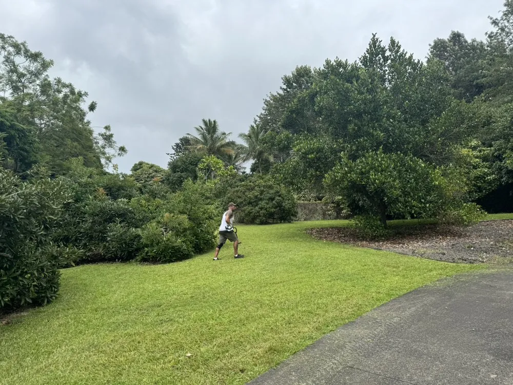 Trusted landscape design in Kailua Kona, HI by Big Island Lawn Care