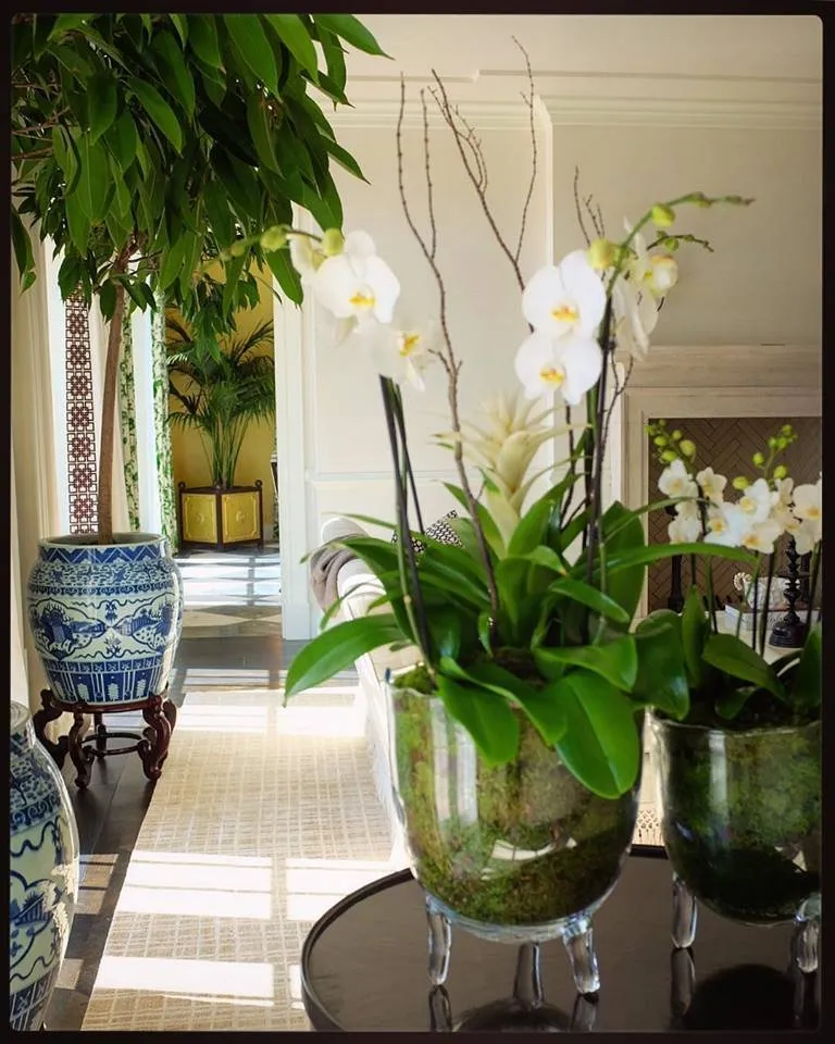 Affordable outdoor landscaping in Waimea, HI - Big Island Plant Works