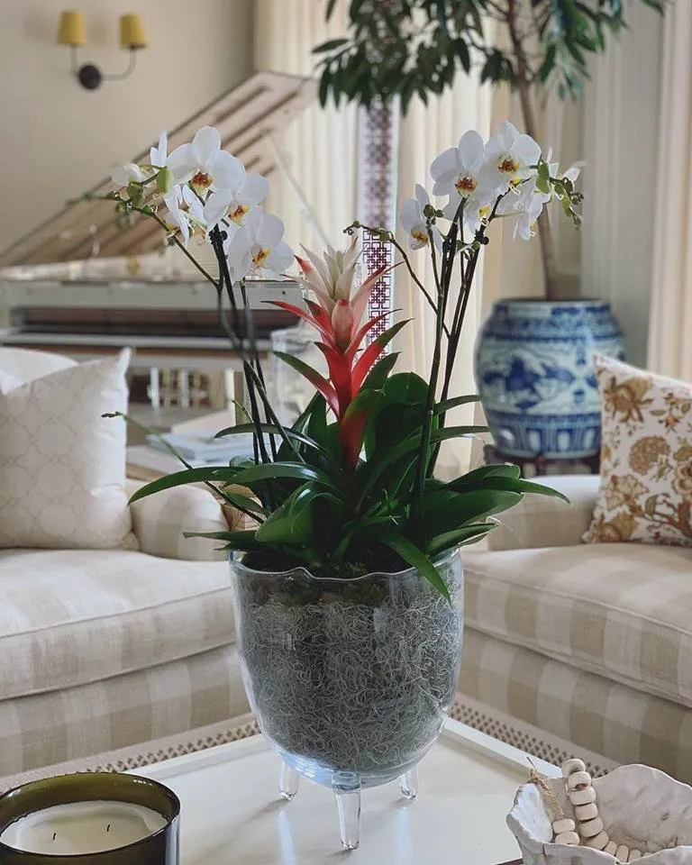 Professional garden landscaping in Waimea, HI by Big Island Plant Works