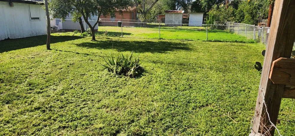 Professional landscape installation experts serving Orange Grove, TX - Big Island Property Maintenance