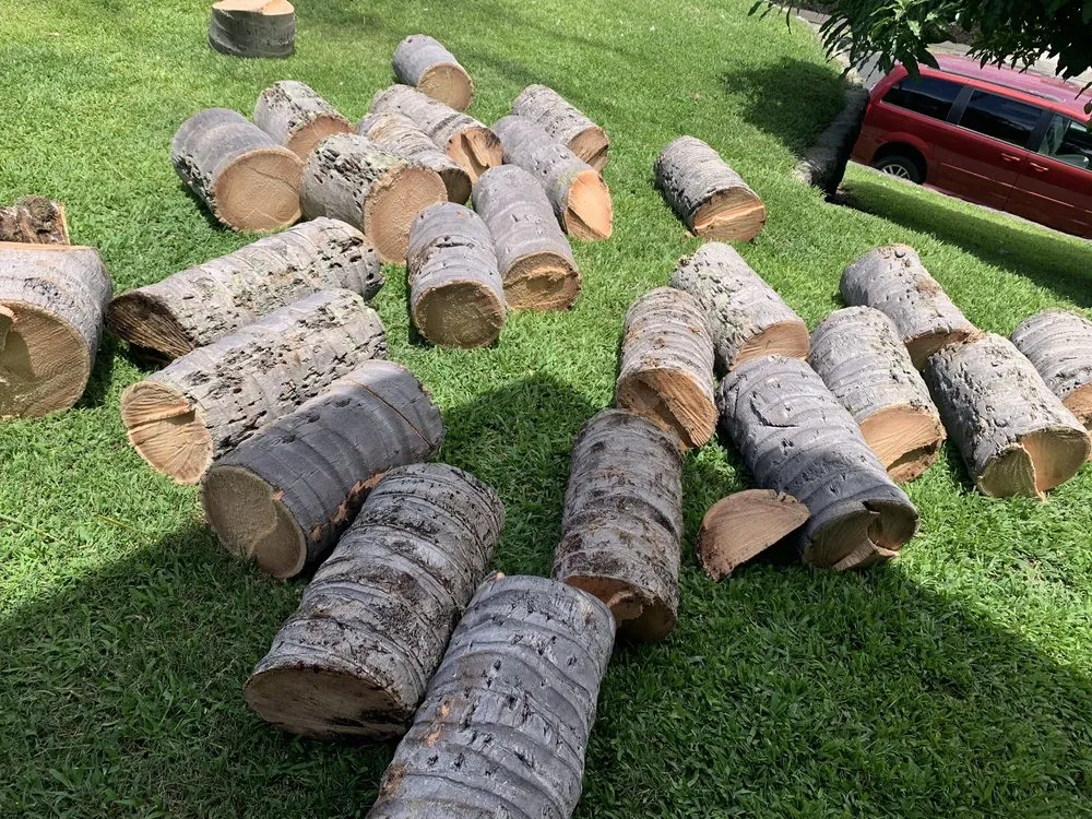 Reliable garden landscaping with custom design in Holualoa, HI by Big Island Trees - Pro Arborist Services