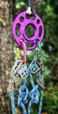 Big Island Trees - Pro Arborist Services