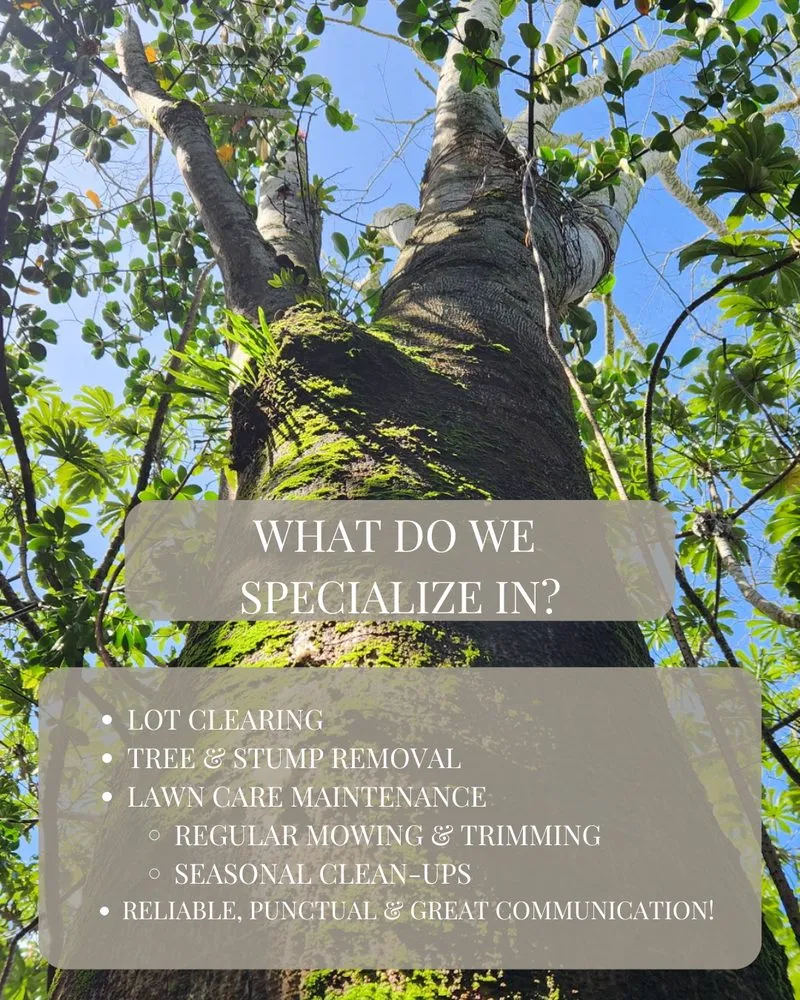 Reliable yard cleanup service for outdoor upgrades across Hilo, HI - Big Island Yard Works