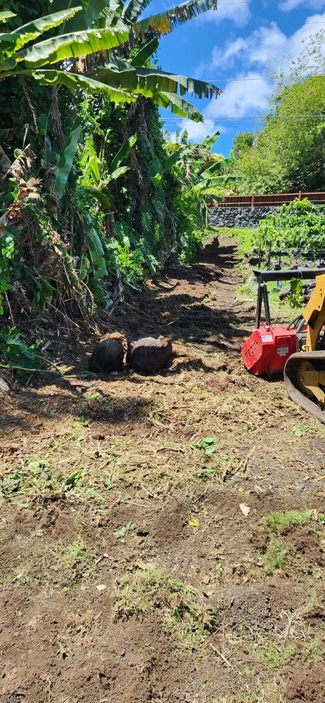 Custom landscaping services in Hilo, HI - Big Island Yard Works