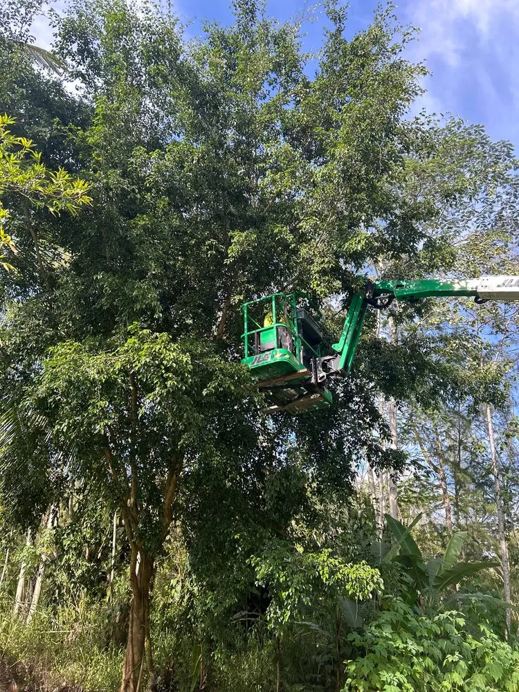 Trusted lawn care service with custom design across Hilo, HI - Big Island Yard Works