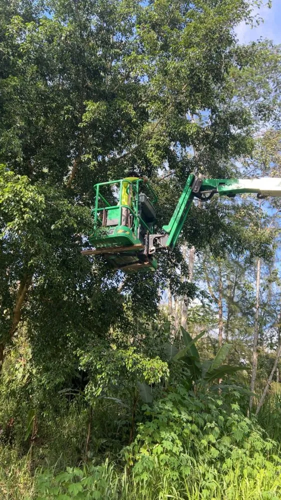 Top-rated lawn care service experts serving Hilo, HI - Big Island Yard Works