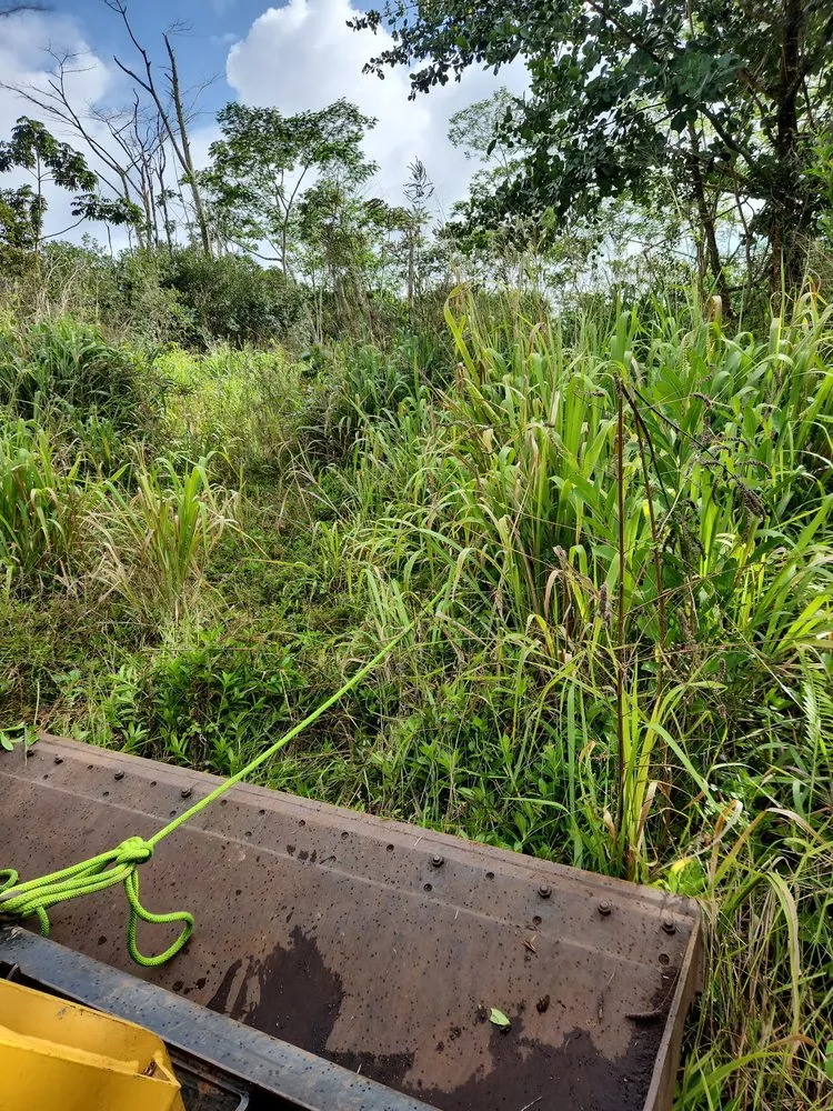Custom landscaping services for outdoor upgrades in Hilo, HI by Big Island Yard Works