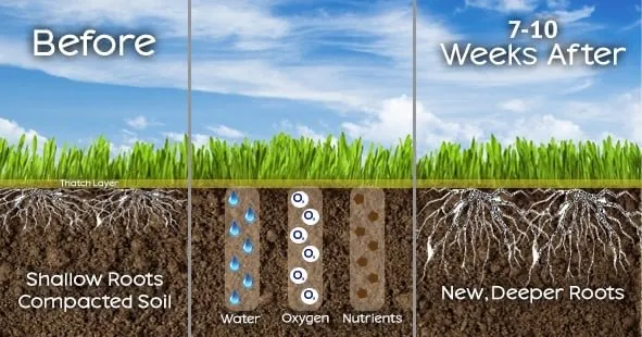 Professional outdoor landscaping for residential properties across Ammon, ID - Big J And Sons Lawn Care Services