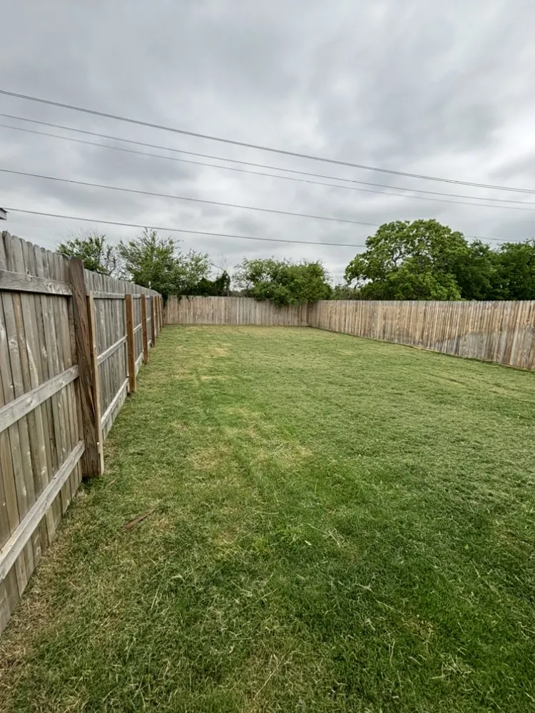 Affordable yard cleanup service in San Antonio, TX - Big J Cuts