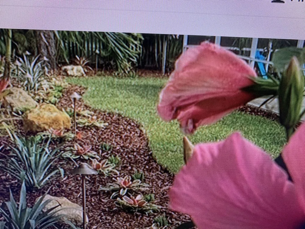 Trusted outdoor landscaping experts serving Winter Haven, FL - Big Jacks Lawn Service