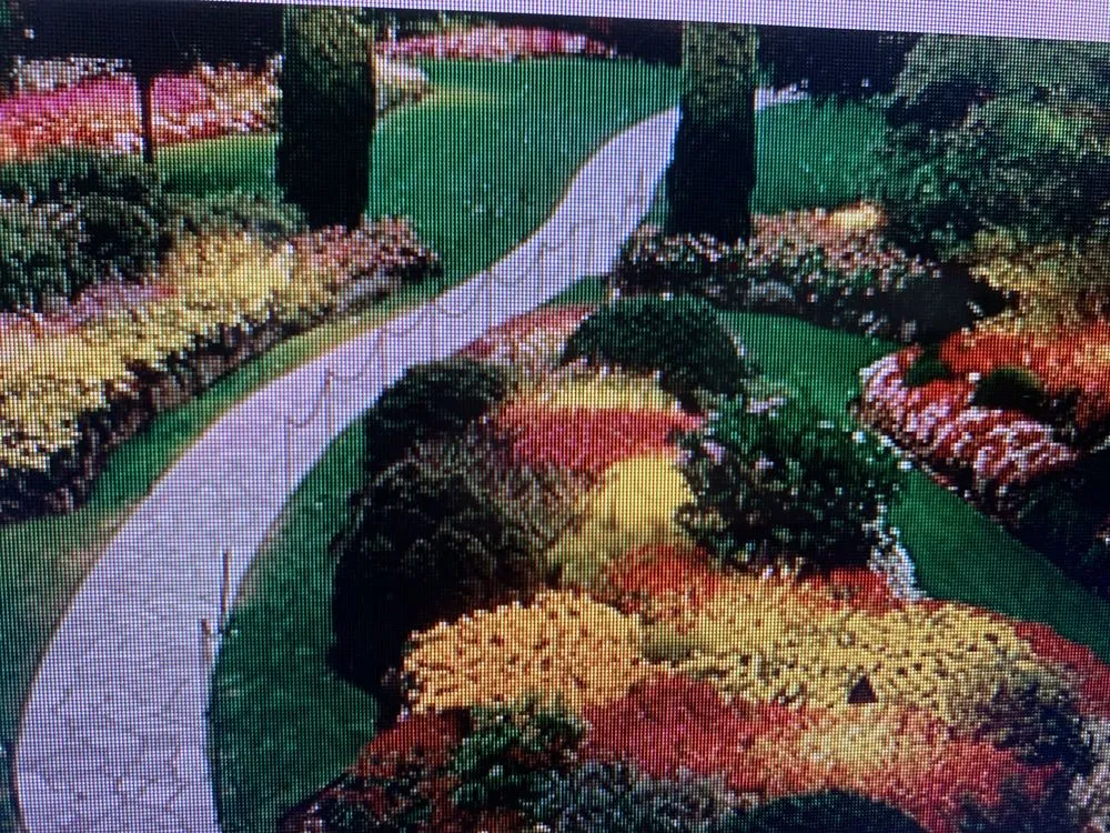 Affordable yard cleanup service in Winter Haven, FL by Big Jacks Lawn Service