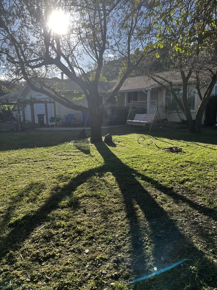Affordable yard maintenance for residential properties across Clearlake, CA - Big Jack’s Lawnservice