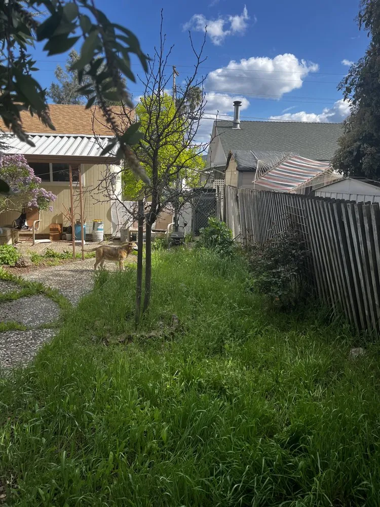 Affordable residential landscaping for outdoor upgrades across Clearlake, CA - Big Jack’s Lawnservice