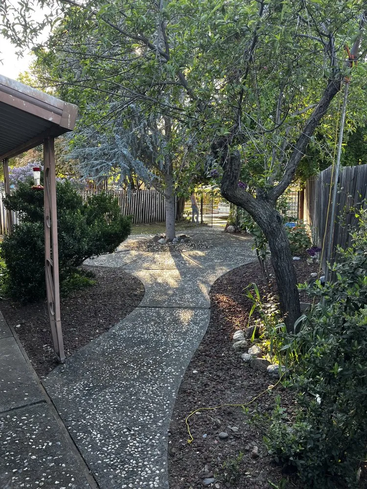 Top-rated lawn care service in Clearlake, CA by Big Jack’s Lawnservice