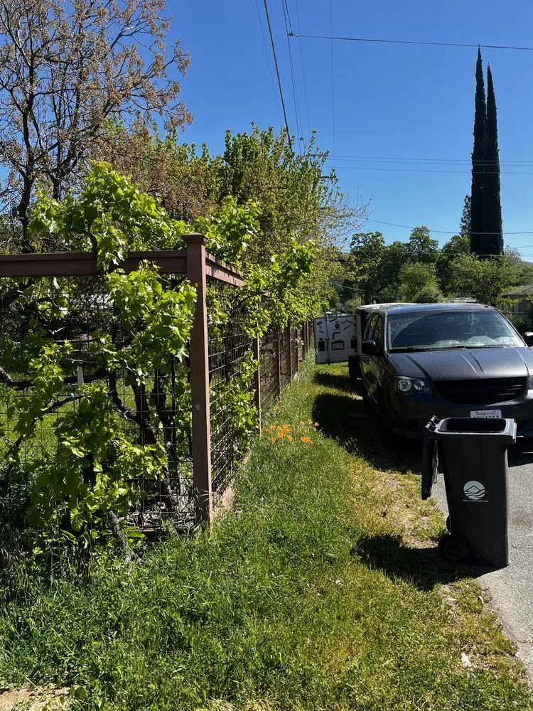 Custom landscaping services experts serving Clearlake, CA - Big Jack’s Lawnservice