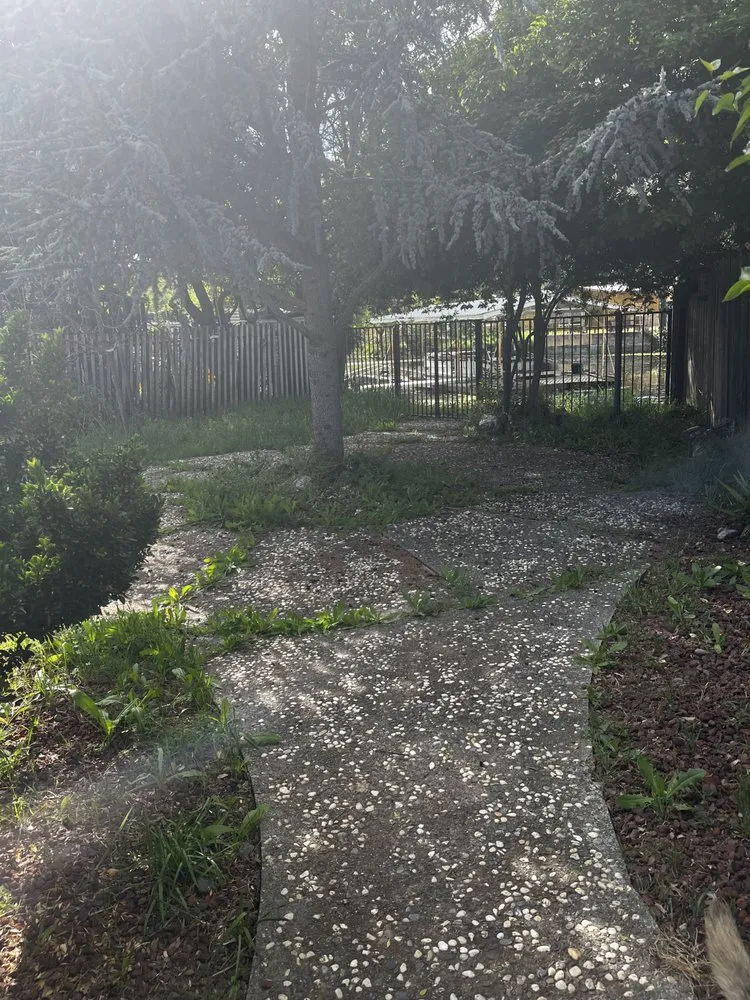 Top-rated lawn care service experts serving Clearlake, CA - Big Jack’s Lawnservice