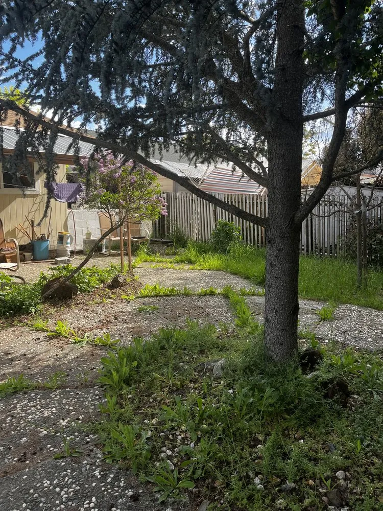 Reliable outdoor landscaping experts serving Clearlake, CA - Big Jack’s Lawnservice