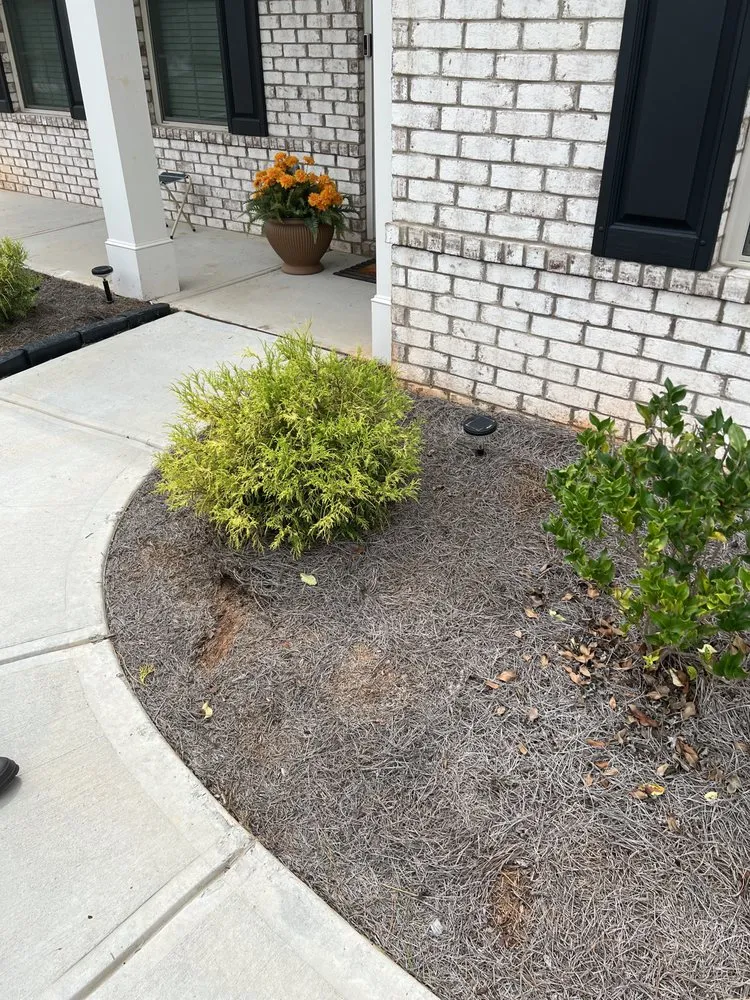 Trusted residential landscaping for beautiful yards in Powder Springs, GA by Big Jim’s Lawn Care