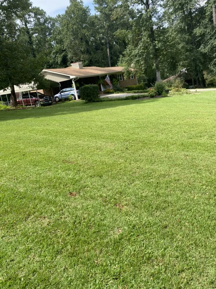 Top-rated yard cleanup service for beautiful yards across Powder Springs, GA - Big Jim’s Lawn Care