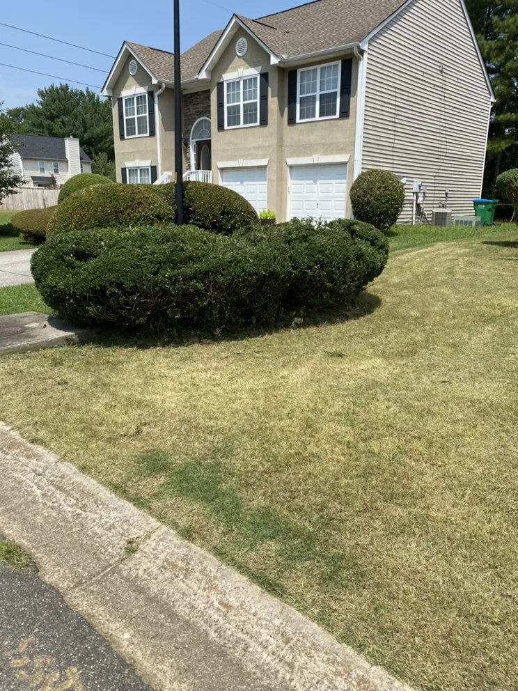 Local landscape installation for beautiful yards across Powder Springs, GA - Big Jim’s Lawn Care