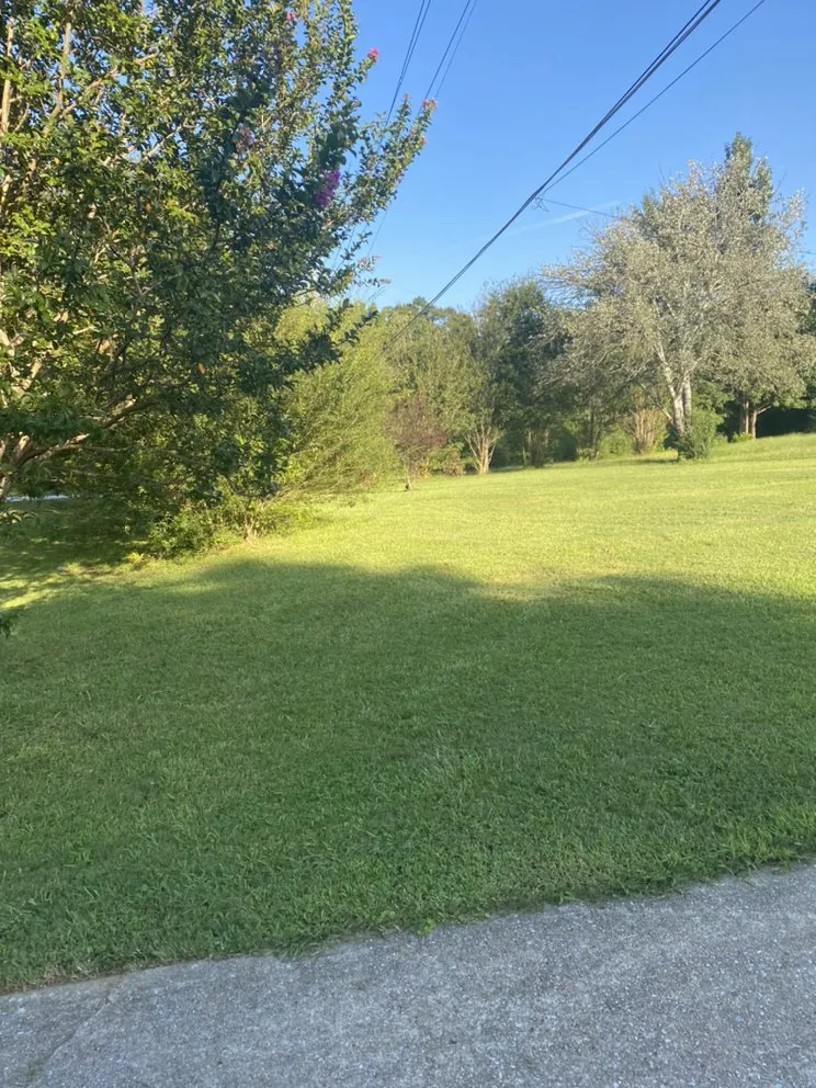 Affordable garden landscaping for year-round maintenance in Powder Springs, GA by Big Jim’s Lawn Care