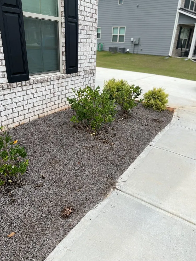 Trusted yard maintenance experts serving Powder Springs, GA - Big Jim’s Lawn Care