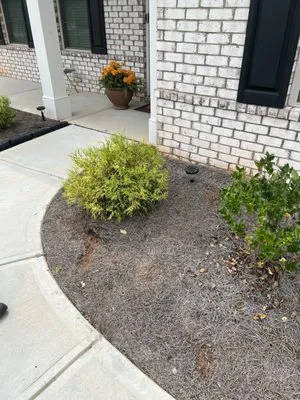 Big Jim’s Lawn Care Logo