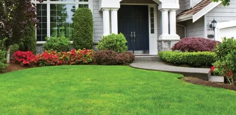 Local landscape design experts serving Harvard, IL - Big Jim's Lawn Service