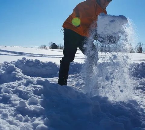 Expert lawn care service experts serving Harvard, IL - Big Jim's Lawn Service