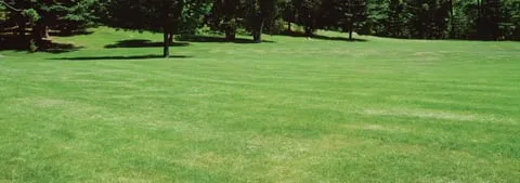 Top-rated landscaping services for residential properties across Harvard, IL - Big Jim's Lawn Service