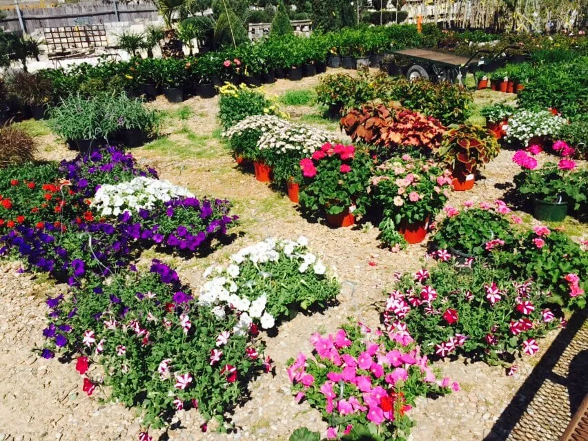 Reliable residential landscaping with custom design across Cedar Hill, TX - Big John's Nursery and Landscape