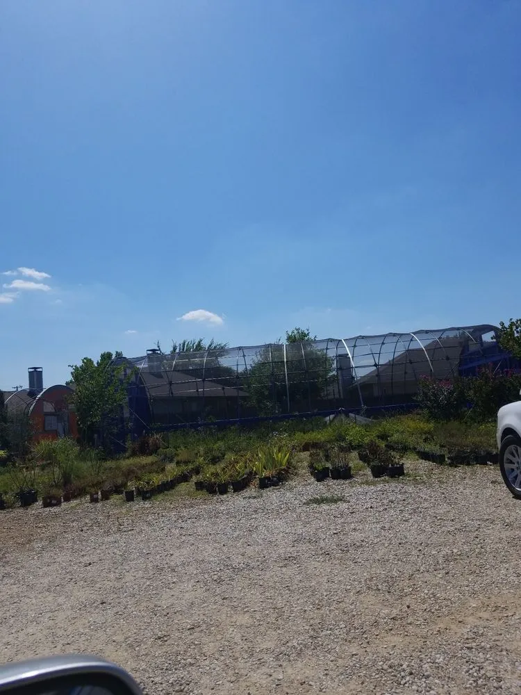 Professional yard maintenance in Cedar Hill, TX by Big John's Nursery and Landscape