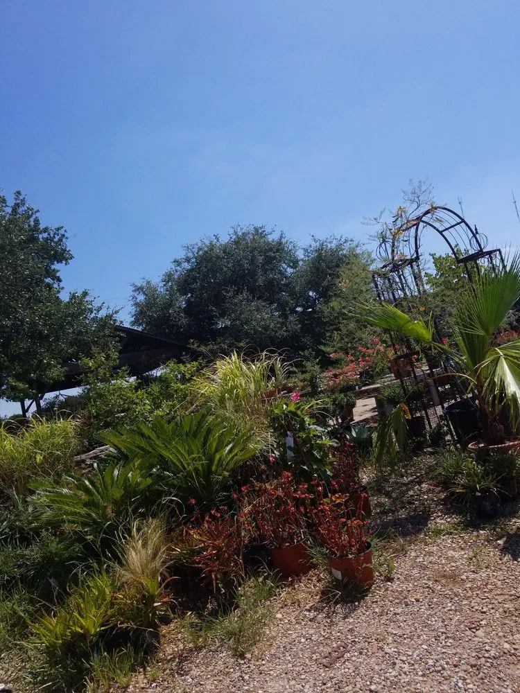 Reliable yard cleanup service experts serving Cedar Hill, TX - Big John's Nursery and Landscape