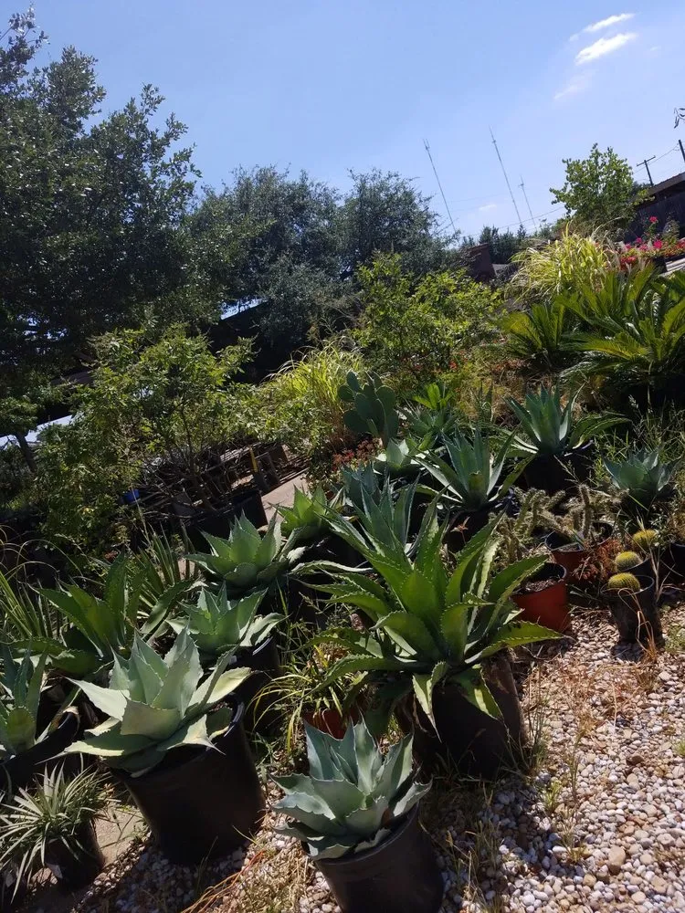 Professional landscape installation experts serving Cedar Hill, TX - Big John's Nursery and Landscape