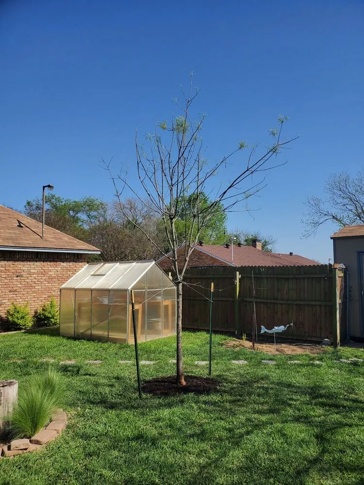 Expert garden landscaping near you in Cedar Hill, TX by Big John's Nursery and Landscape