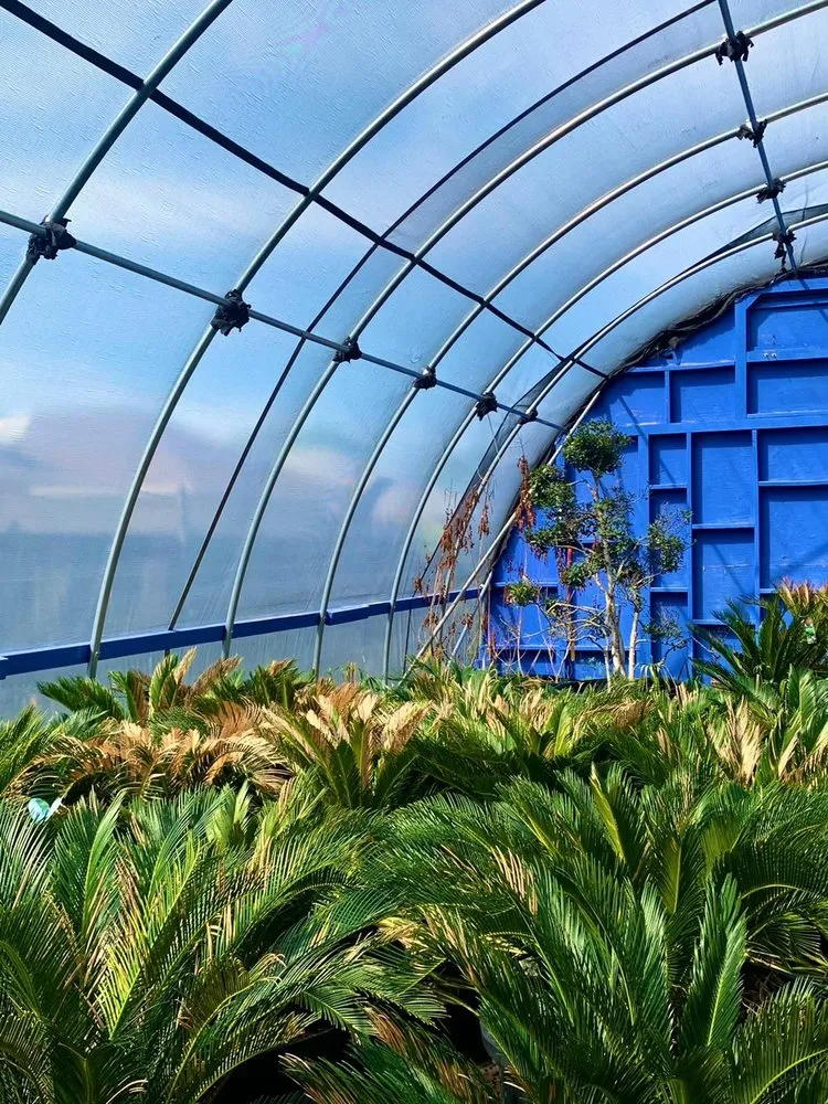 Reliable landscape installation in Cedar Hill, TX by Big John's Nursery and Landscape