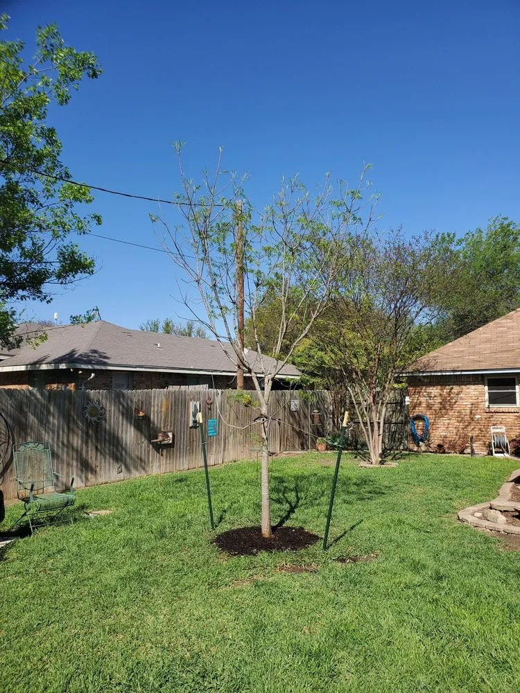 Expert residential landscaping in Cedar Hill, TX by Big John's Nursery and Landscape