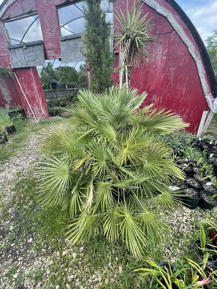 Expert landscape design with custom design across Cedar Hill, TX - Big John's Nursery and Landscape