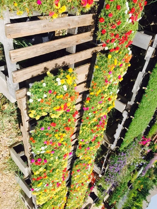 Reliable landscaping services in Cedar Hill, TX by Big John's Nursery and Landscape