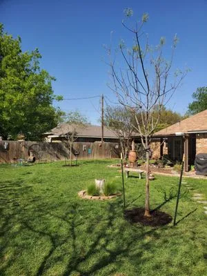 Big John's Nursery and Landscape