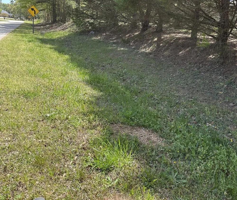 Affordable yard maintenance for outdoor upgrades across Carnesville, GA - Big J's Lawn Care