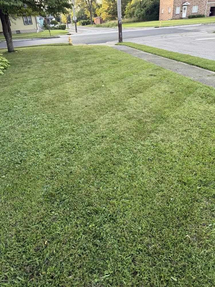 Affordable landscape design for outdoor upgrades across Erie, PA - Big Ju’s Landscaping