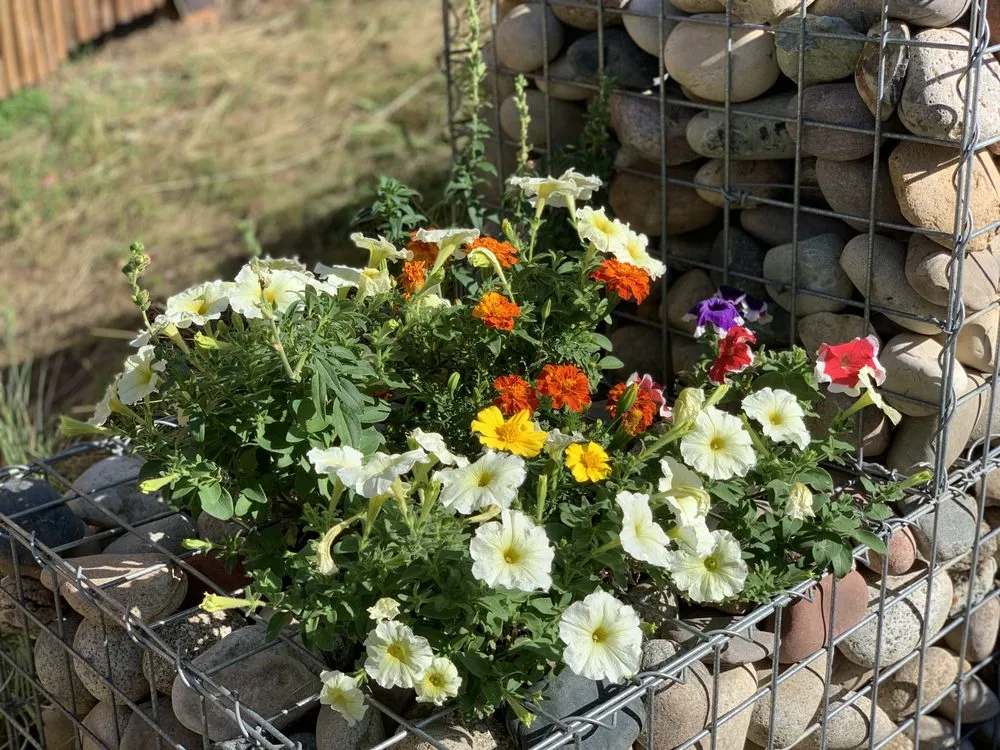 Local landscape installation in Aspen, CO by Big K Services