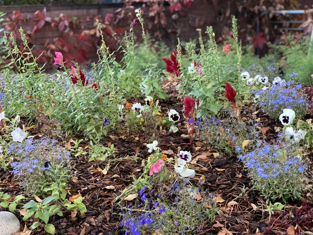 Professional garden landscaping in Aspen, CO by Big K Services