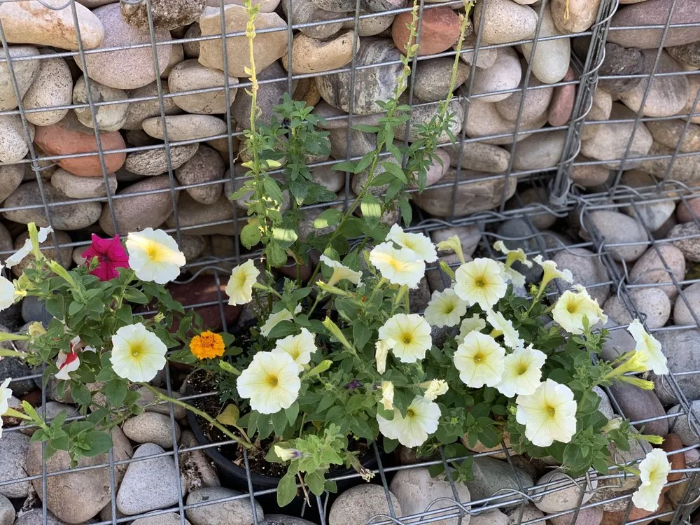 Expert landscape installation in Aspen, CO - Big K Services