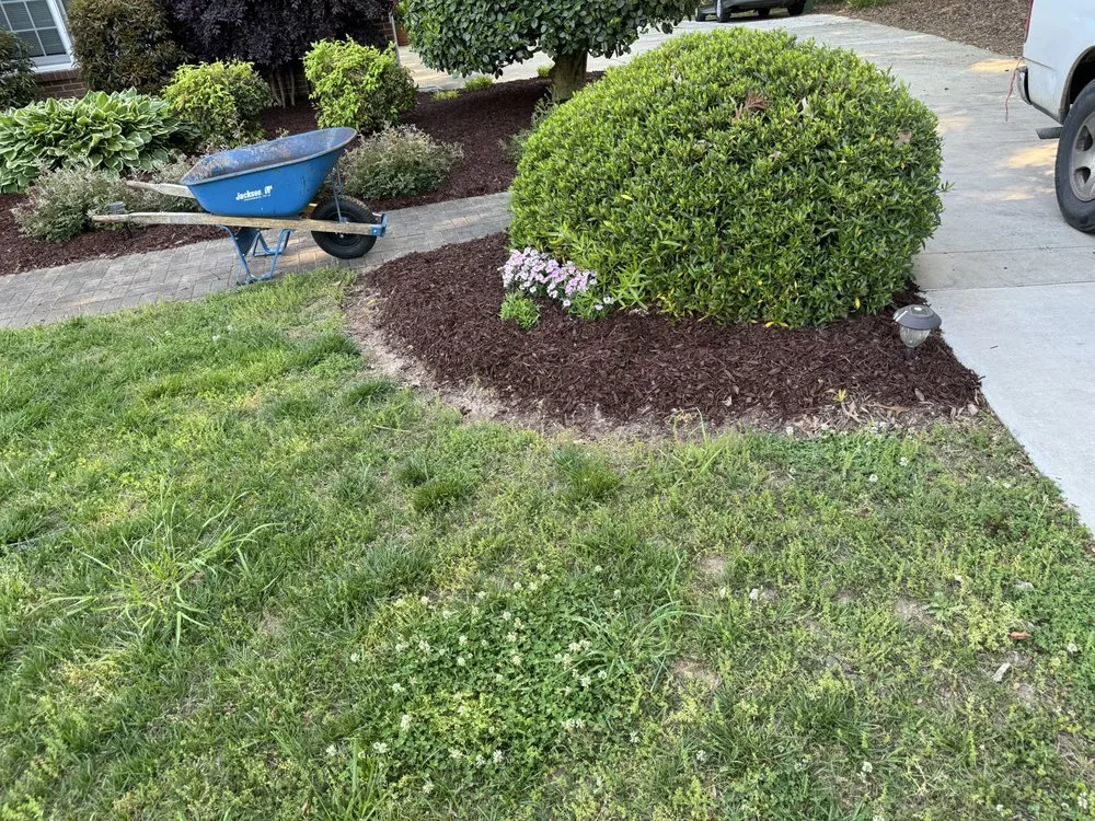 Local lawn care service for year-round maintenance in Pageland, SC by Big Kountry Landscape