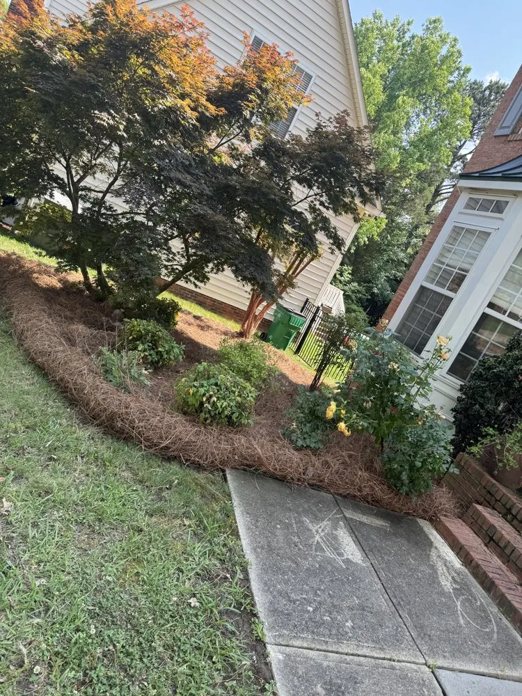 Top-rated landscape installation for homes in Pageland, SC by Big Kountry Landscape