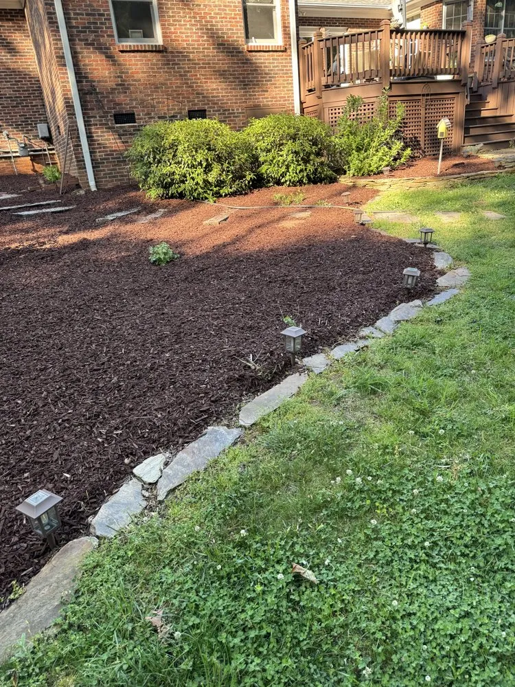 Professional yard cleanup service in Pageland, SC - Big Kountry Landscape