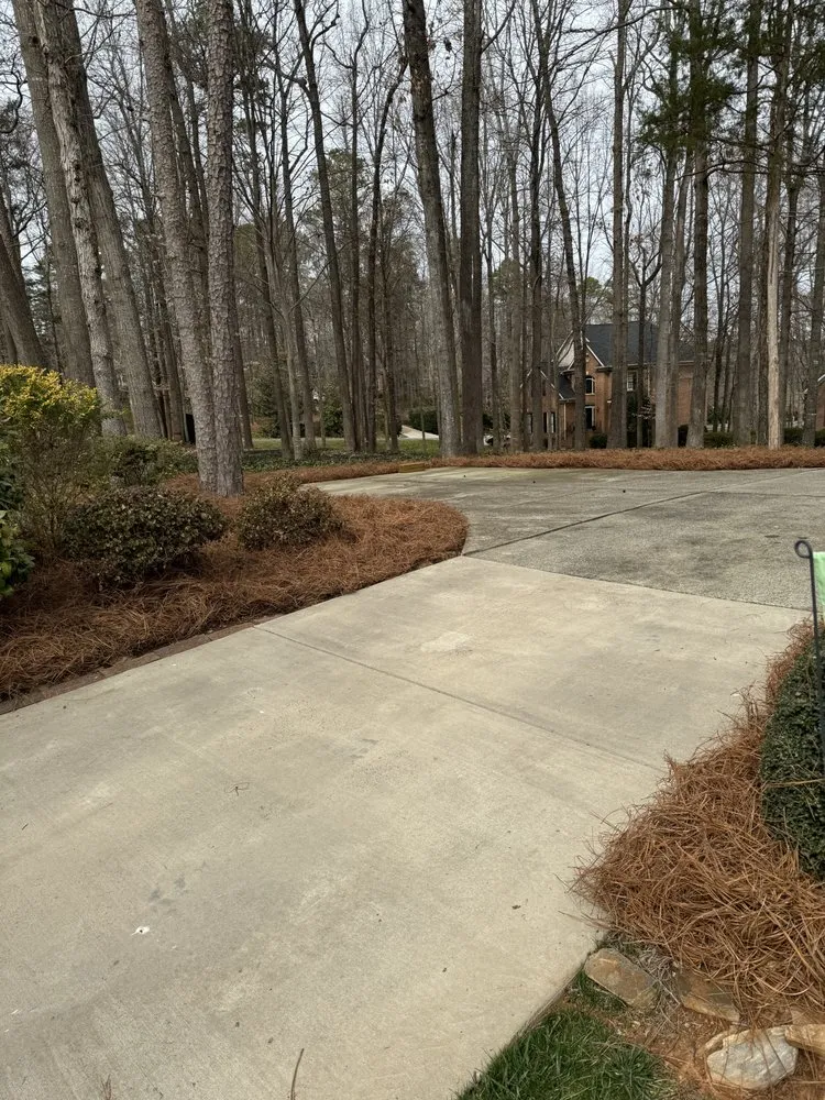 Trusted yard cleanup service experts serving Pageland, SC - Big Kountry Landscape