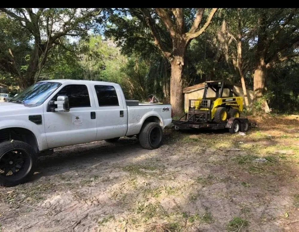 Expert yard cleanup service in Tampa, FL - Big Kountry Tree Service